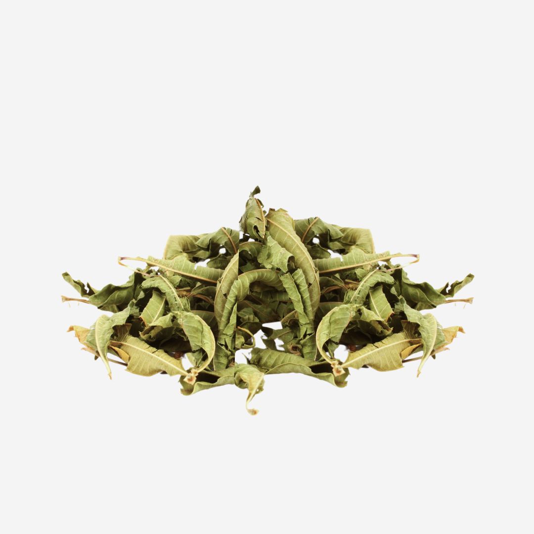 Feuilles de Brisée (Lippia Alba)
