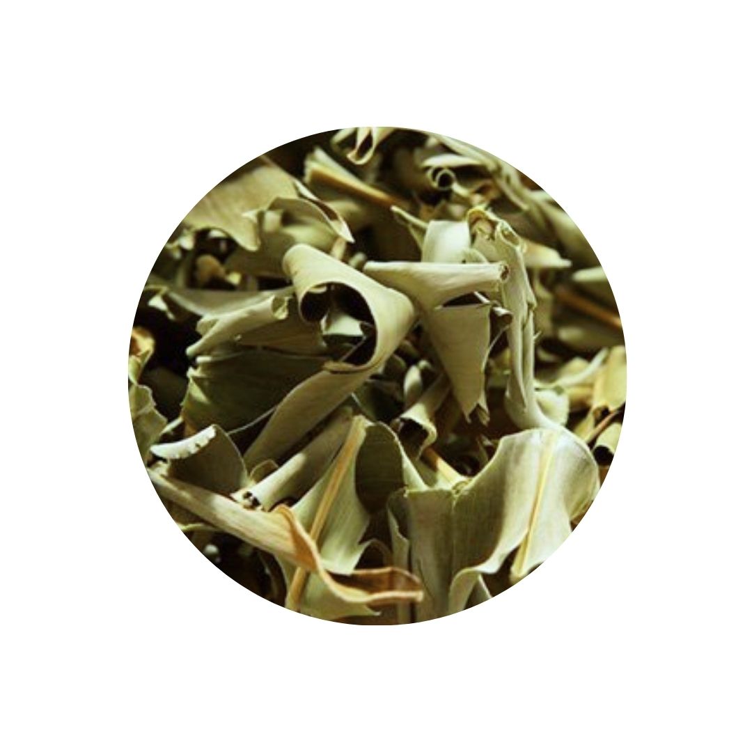 Feuilles d'Atoumo (Alpinia zerumbet)