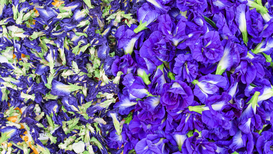 Le Pois Bleu: Fleur de Femme aux milles Vertus