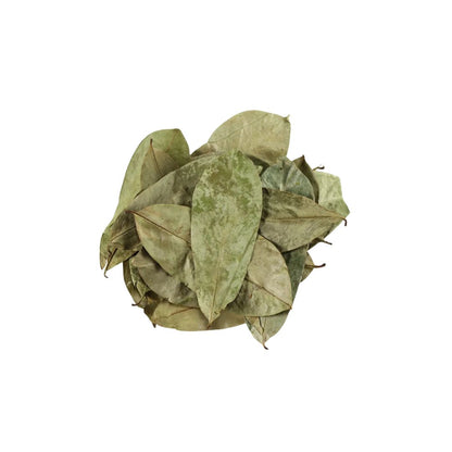 Feuilles de Corossol (Annona muricata)